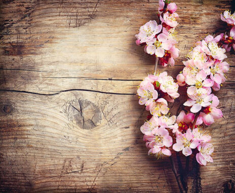pngtree-spring-blossom-over-wooden-background-close-new-vintage-photo-image_11644824.jpg